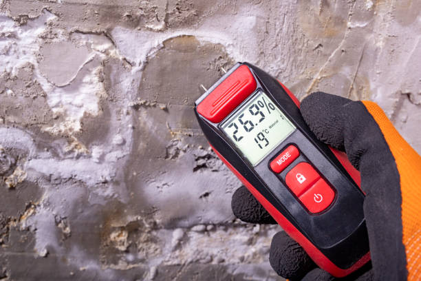 Ketchum, ID Mold Removal Company