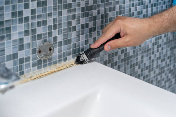 Best Home Mold Removal  in Ketchum, ID